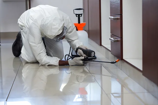 Centurion Pest Inspections: The Comprehensive Guide by Pest Control Pros